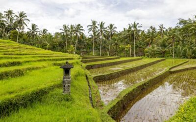 Les effets des inondations sur l’agriculture en Europe