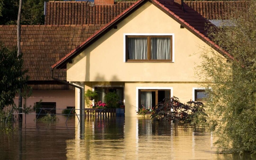 Urbanisme résilient : construire en zone inondable en toute sécurité