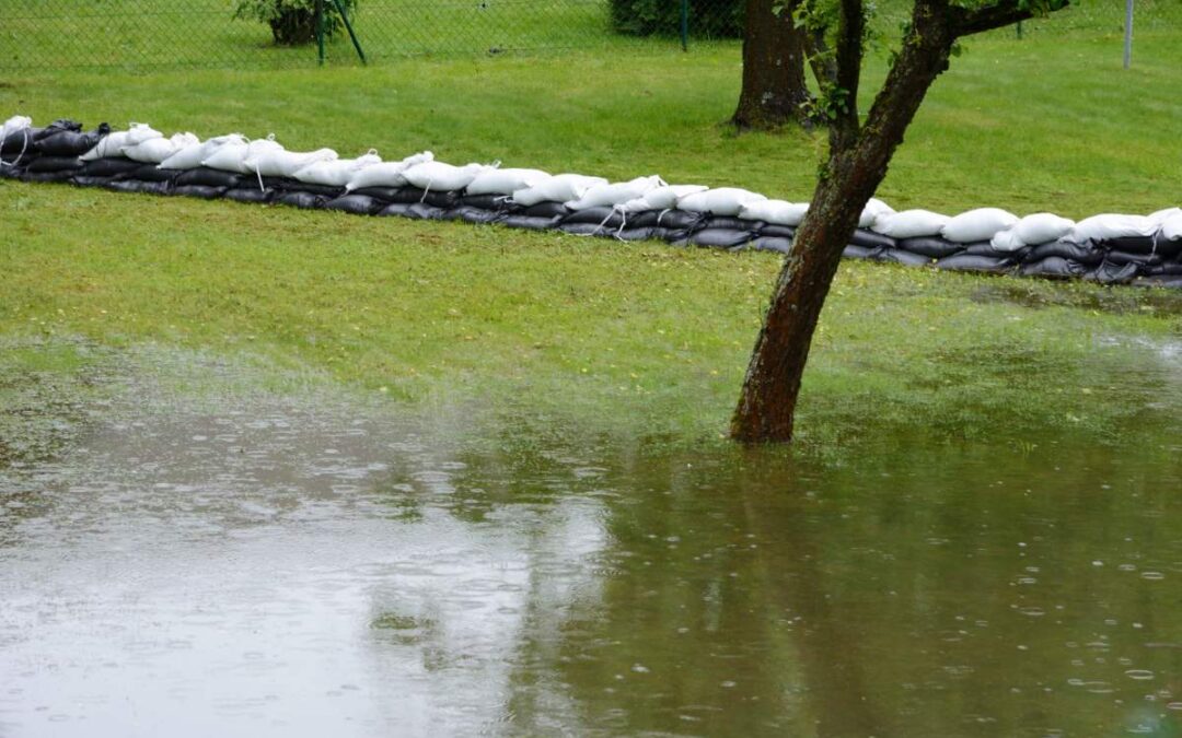 Aménagement de jardin contre les inondations : astuces et plantes pour un espace résilient